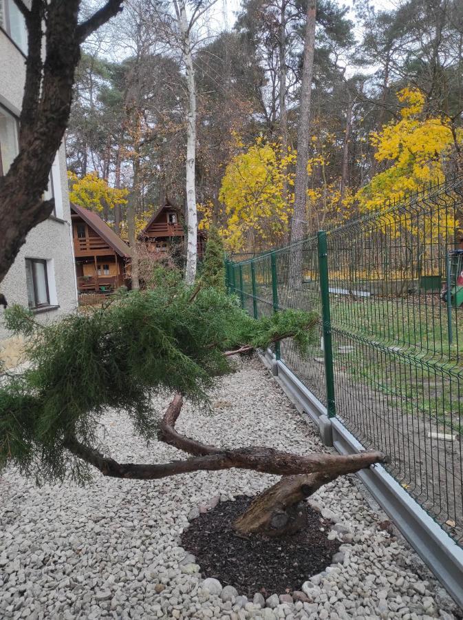 Chatki Saturnina I Pokoje Świnoujście Eksteriør bilde
